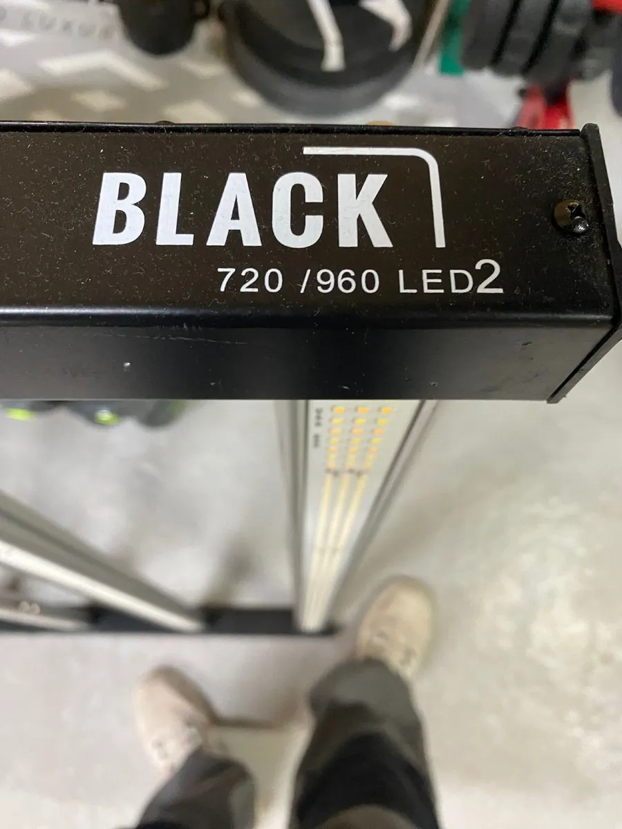 Lumi Black LED Grow Light - Image 2