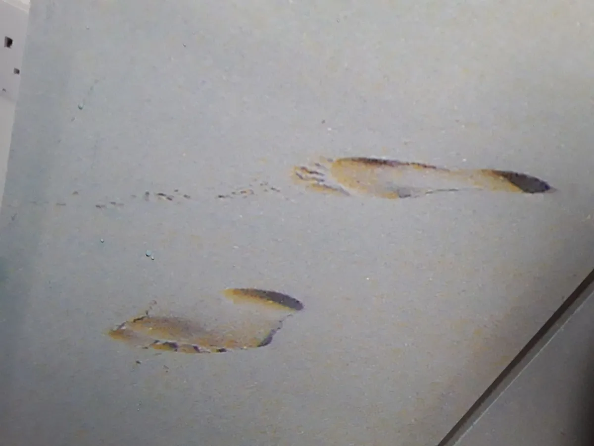 As new lovely triptych pictures - Image 3