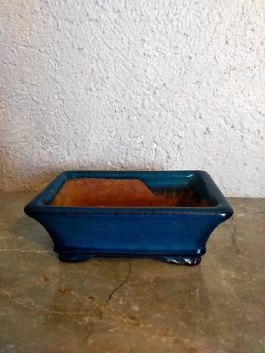Small Bonsai Pot #4 - Image 1