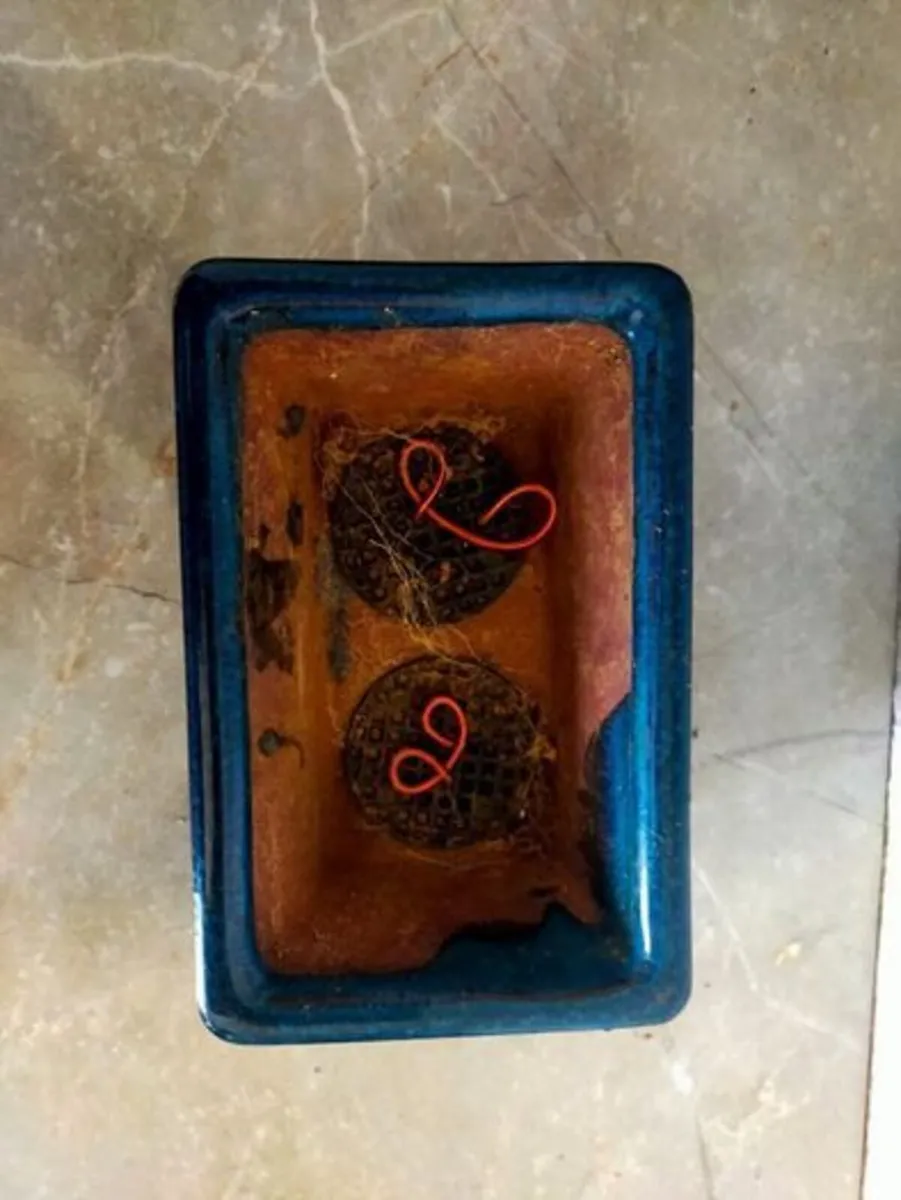 Small Bonsai Pot #4 - Image 2