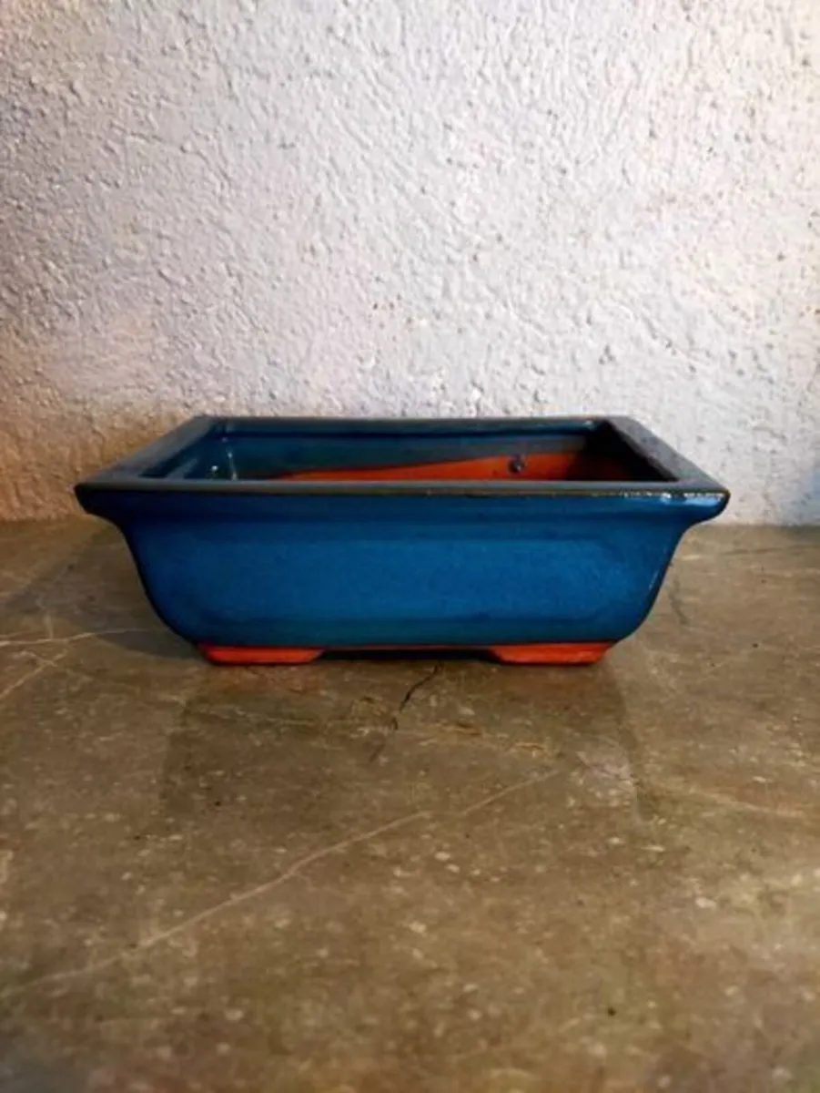 Small Bonsai Pot #3 - Image 1