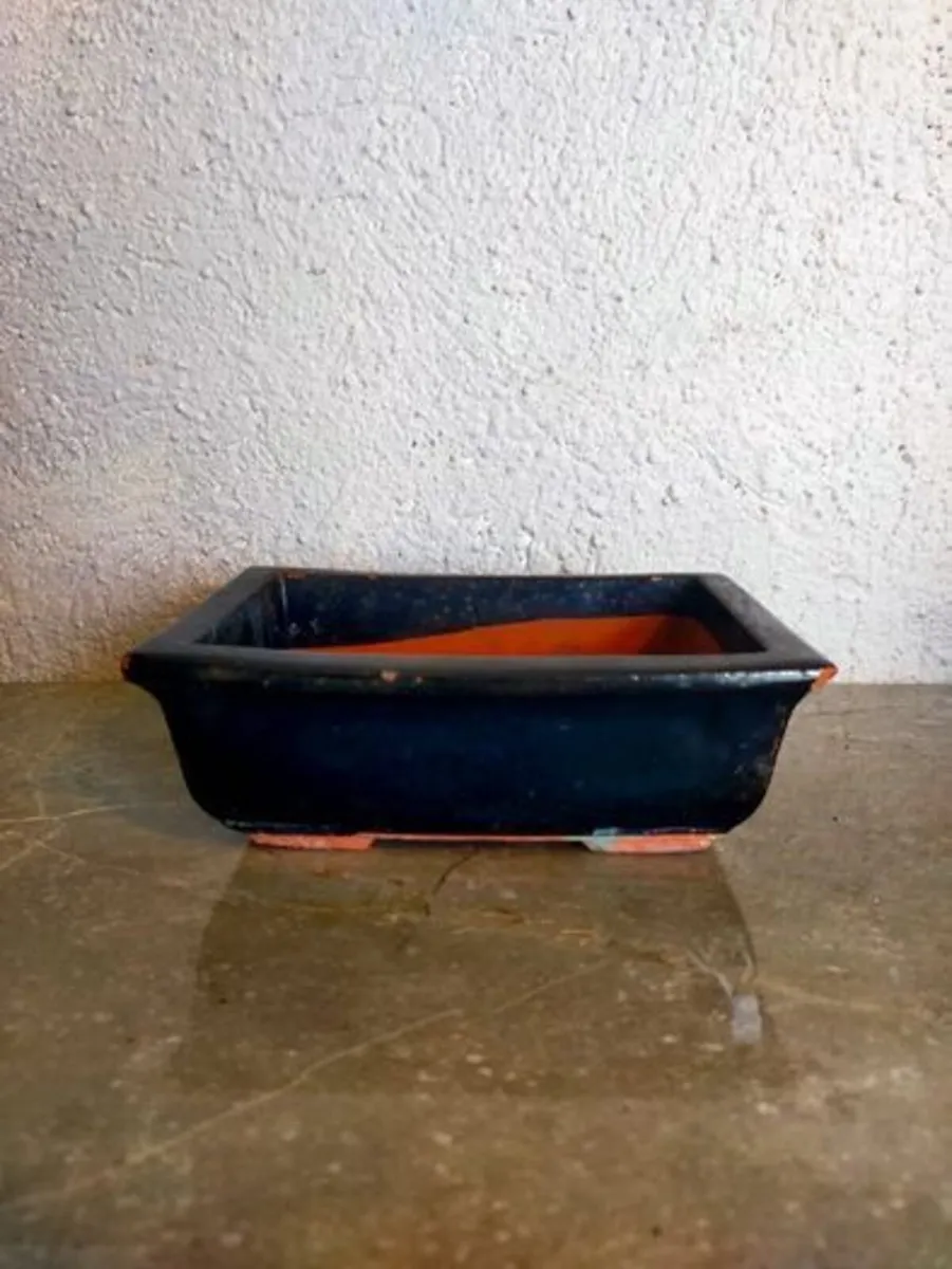 Small Bonsai Pot #2 - Image 1