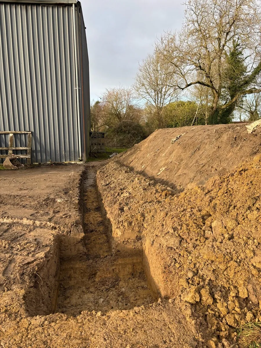 1 ton Digger and driver for hire - Image 4