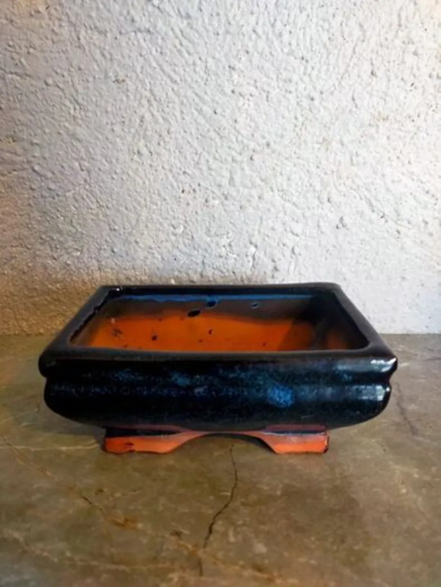 Small Bonsai Pot #1 - Image 1