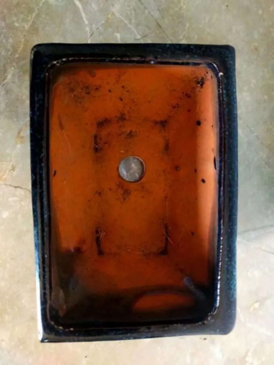 Small Bonsai Pot #1 - Image 2