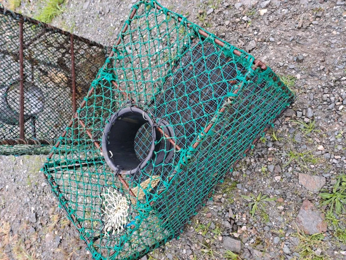 12 Lobster pots - Image 1