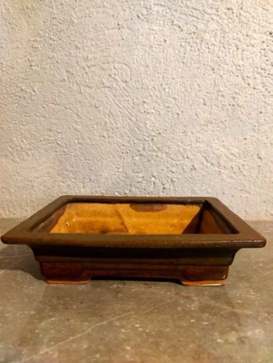 Medium Bonsai Pot #8 - Image 1
