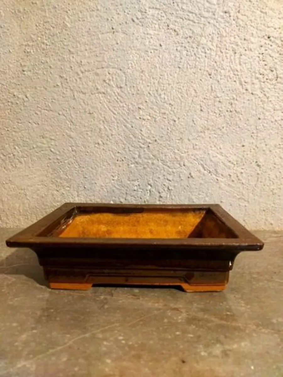 Medium Bonsai Pot #7 - Image 1