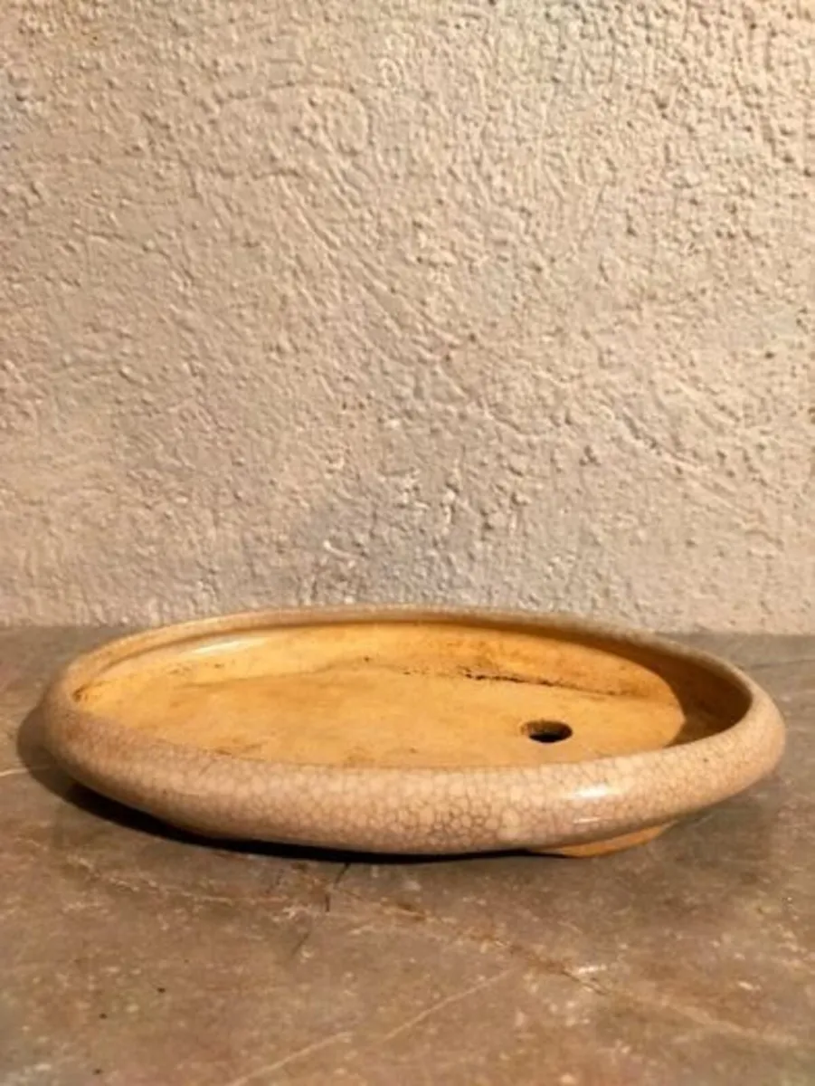 Medium Bonsai Pot #5 - Image 1