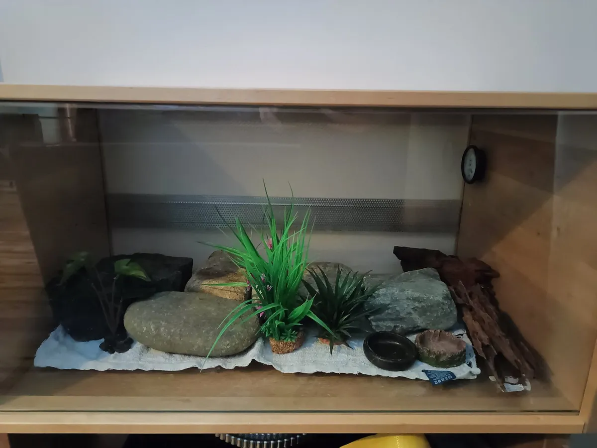 Reptile enclosure - Image 2