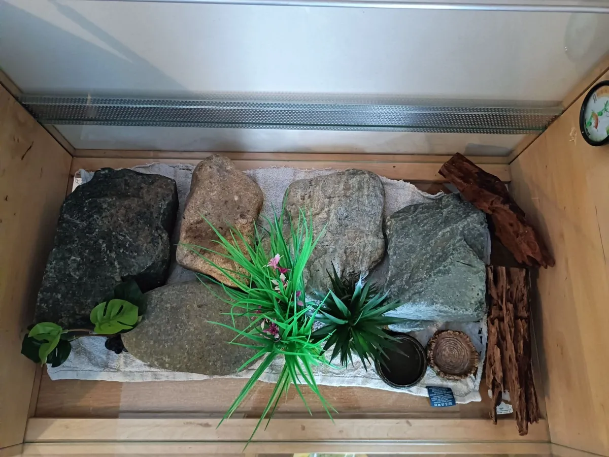 Reptile enclosure - Image 3