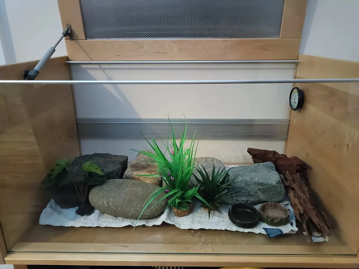 Reptile enclosure - Image 1