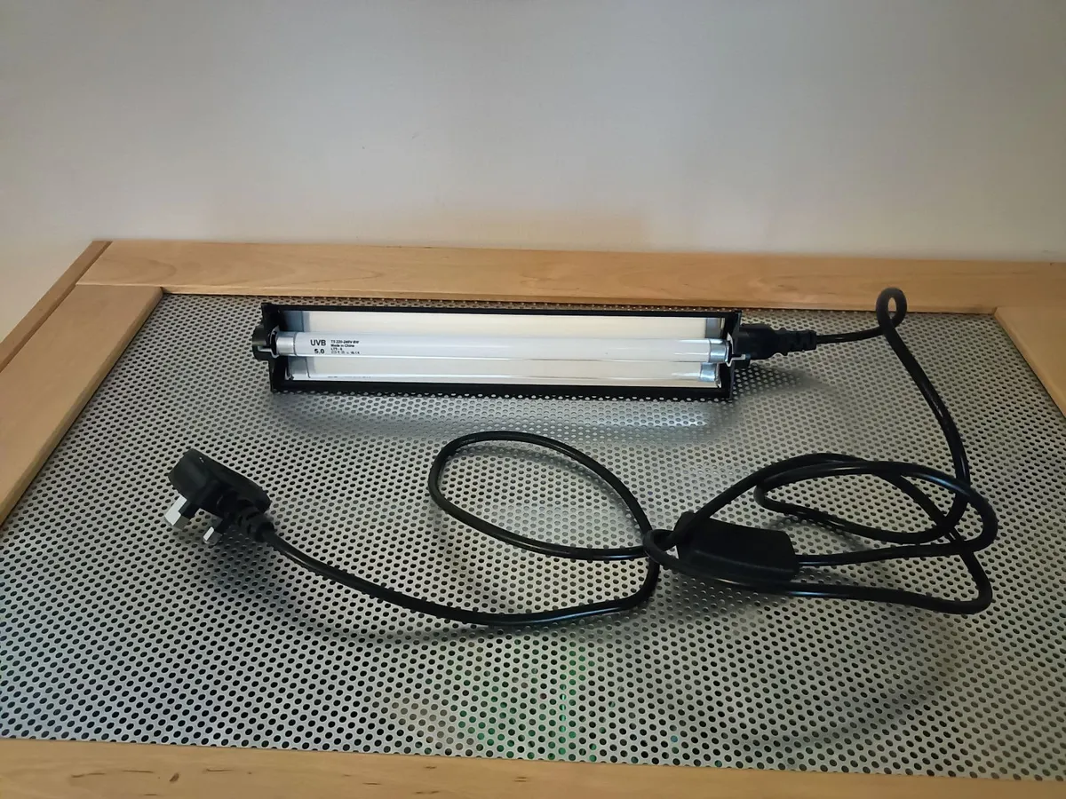 Reptile enclosure - Image 4