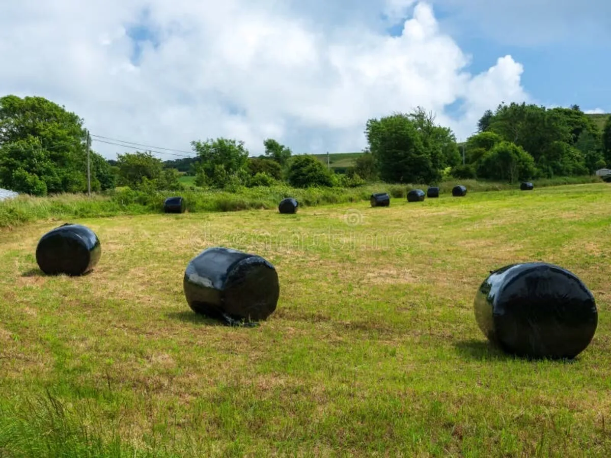 Round bales silage