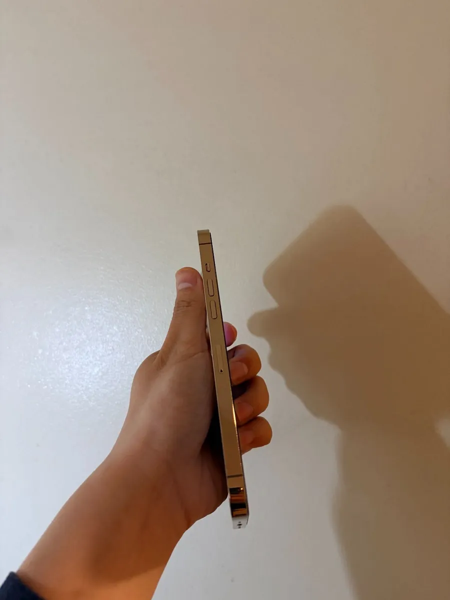 iPhone 12 pro max(128GB) Dual SIM - Image 4