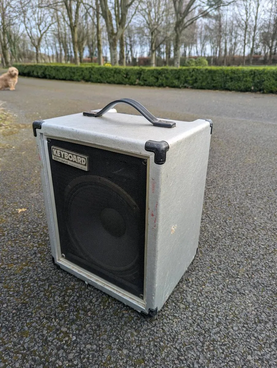 Roland Cube 60 - Image 2