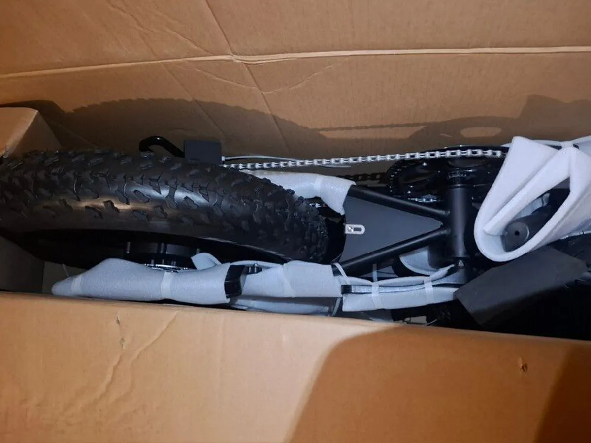 Electric bicycle - Image 3