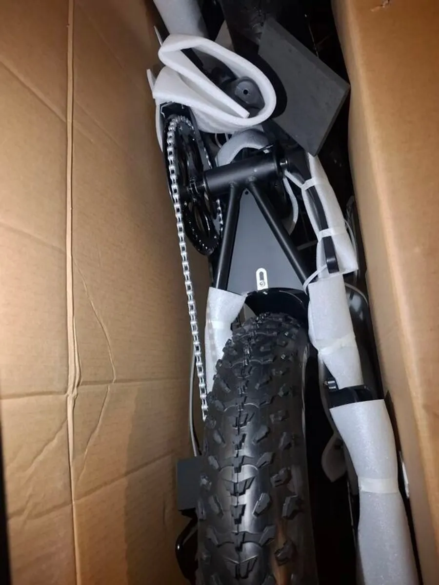 Electric bicycle - Image 4