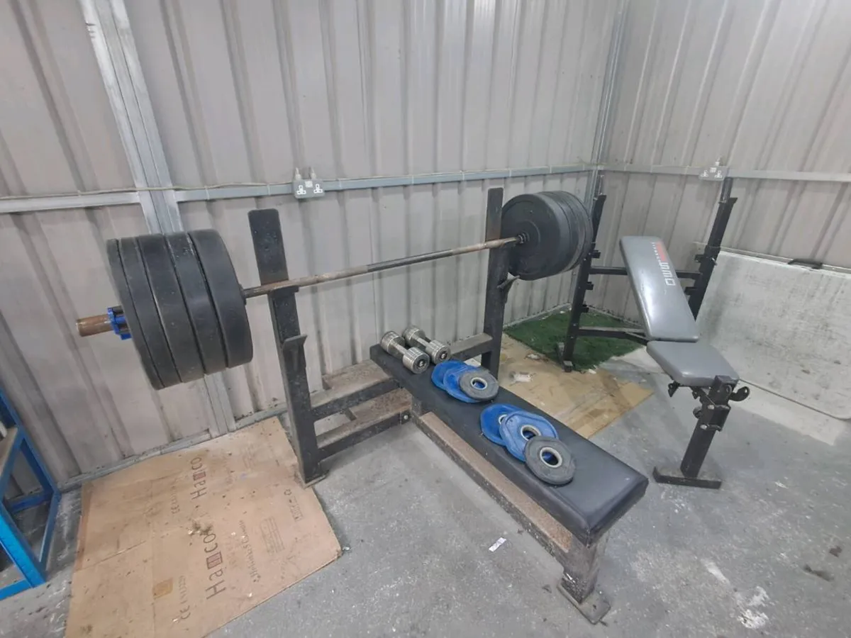 Gym weights and bench - Image 1