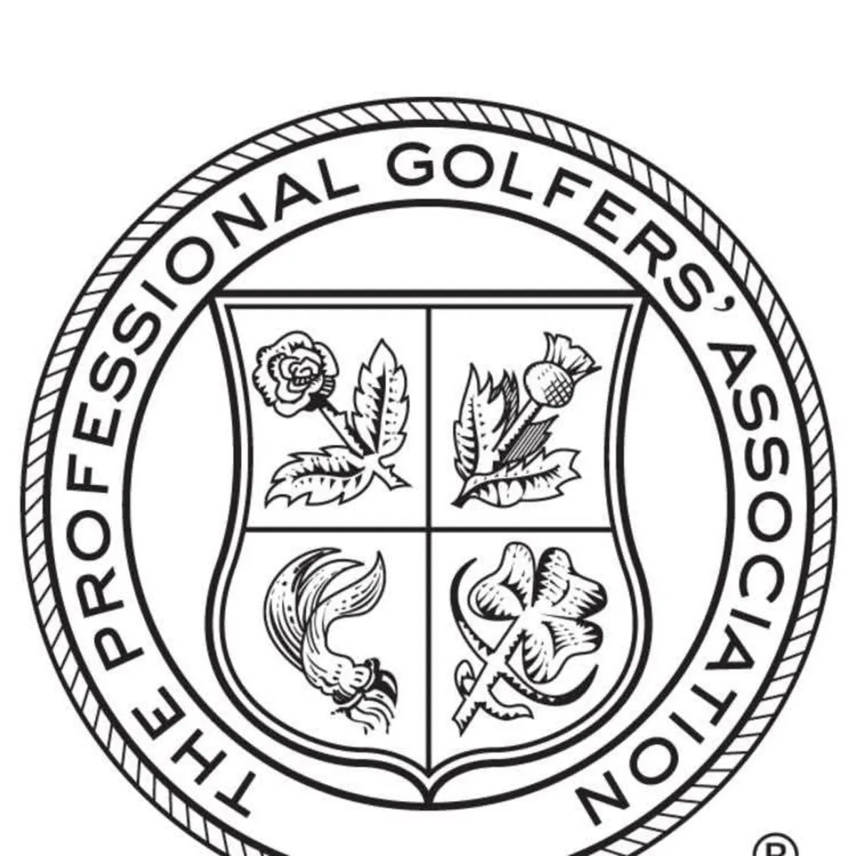 New Motocaddy SE trolley at Golf Concepts - Image 4