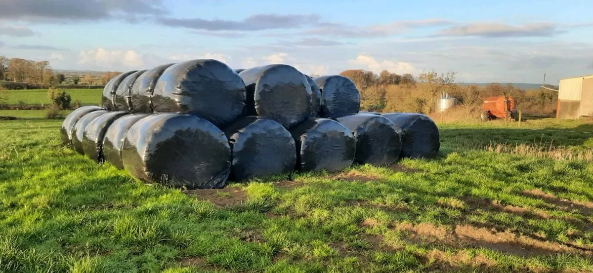 Baled silage - Image 1