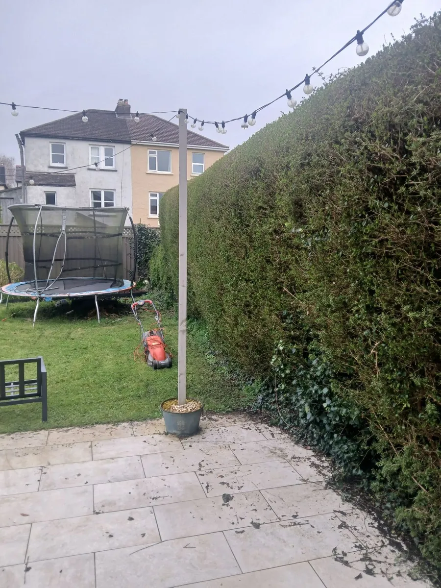 Garden poles - Image 1