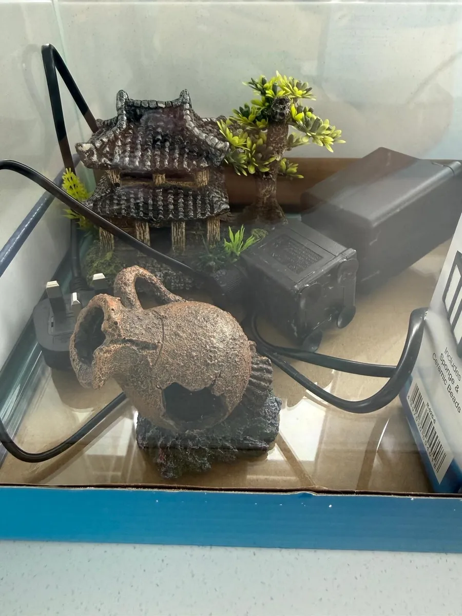 Goldfish tank - Image 3