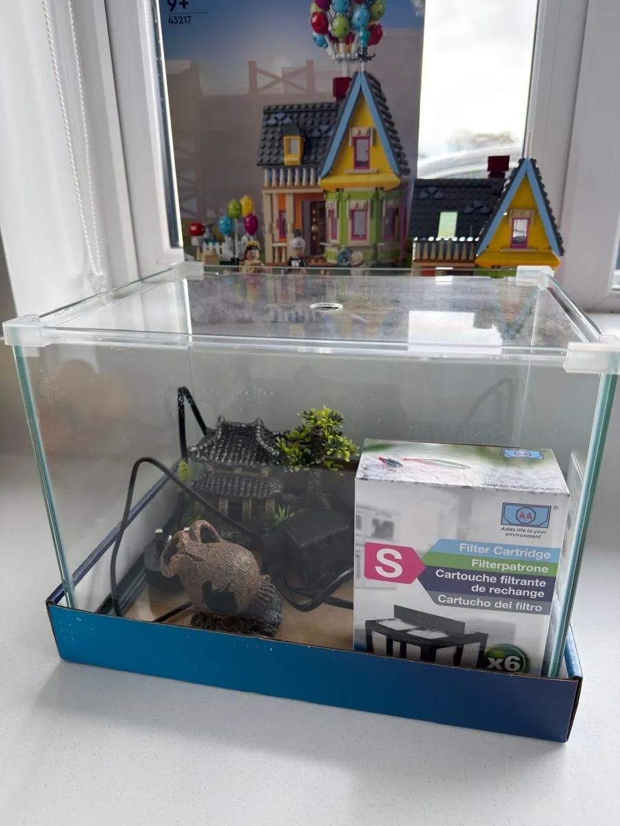 Goldfish tank - Image 1