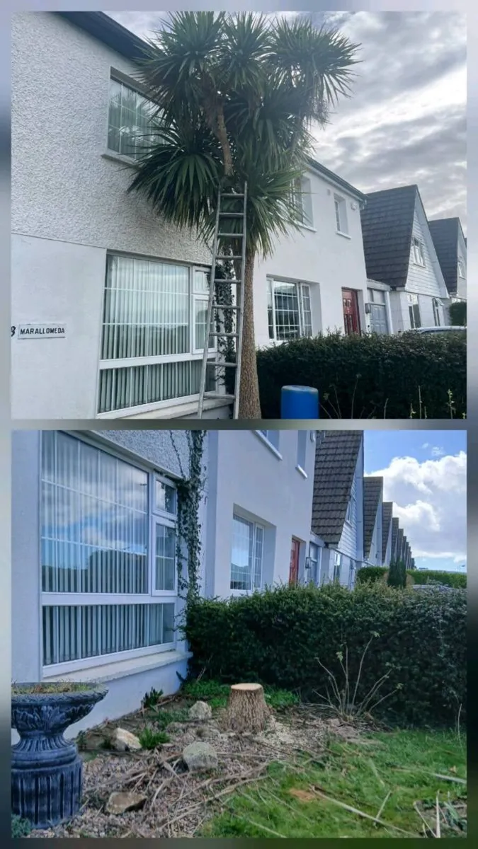 All class steam cleaning & garden service