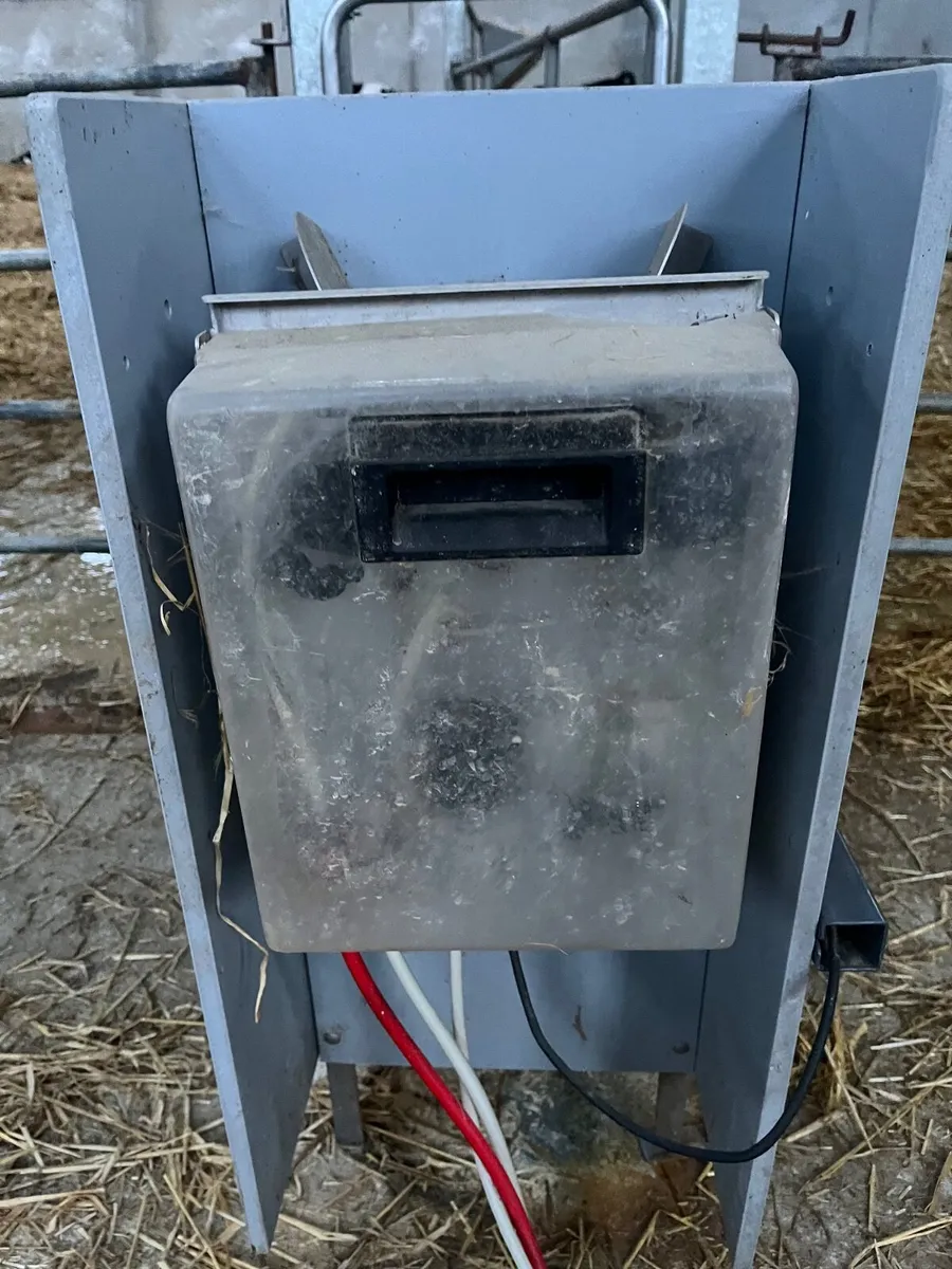 Urban automatic calf feeder - Image 3
