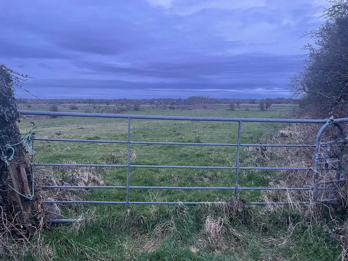 LAND FOR SALE - Image 2