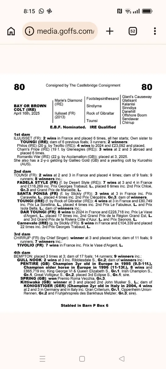 Dam of 2 Multiple Winners | Foals made €30k - Image 4