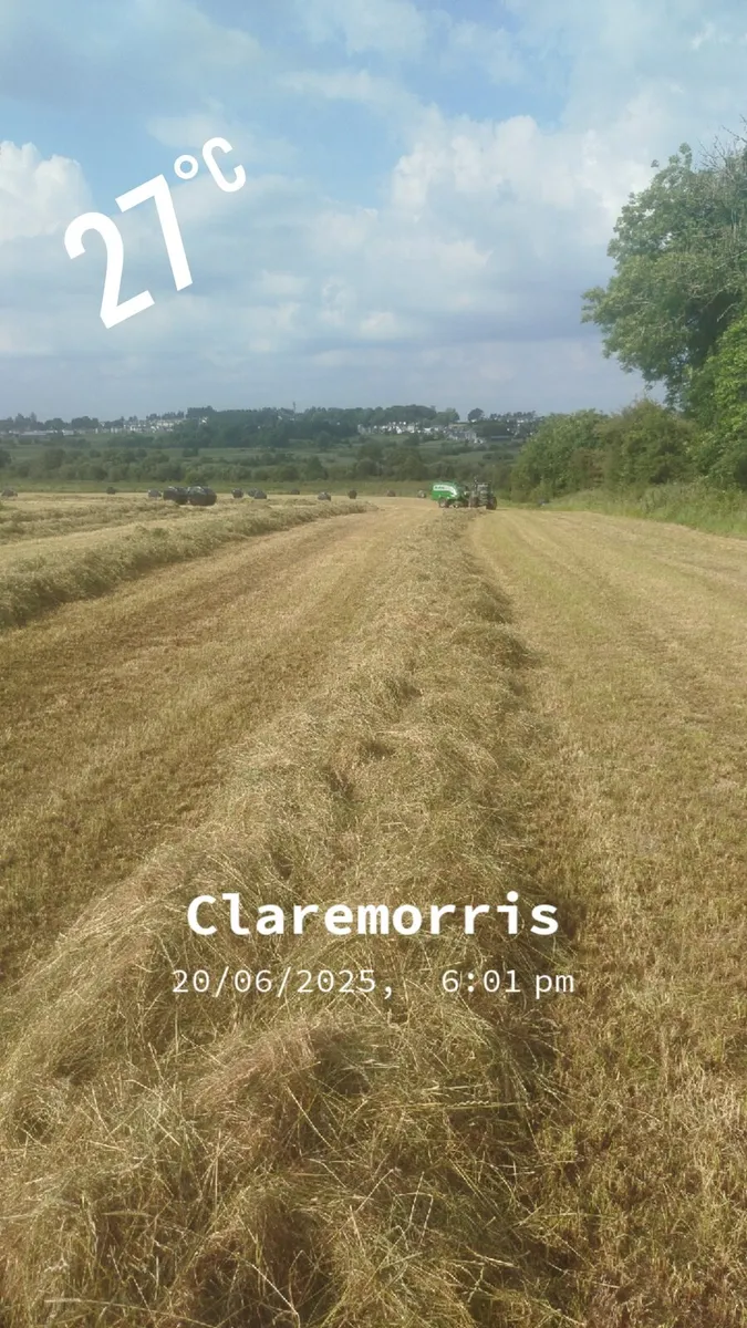 Silage Bales - Image 1