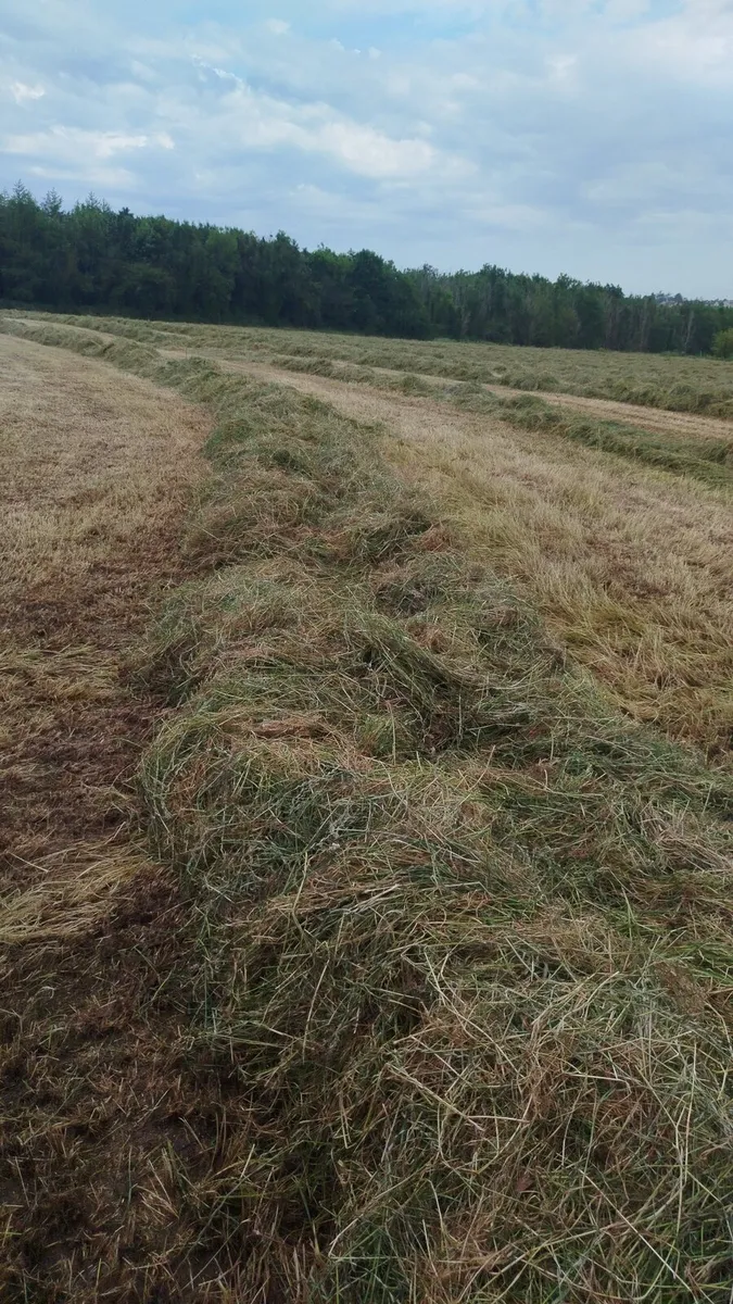 Silage Bales - Image 2
