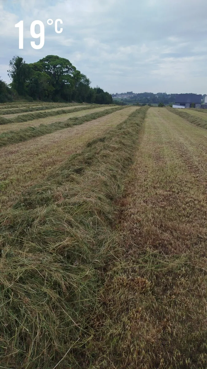 Silage Bales - Image 3