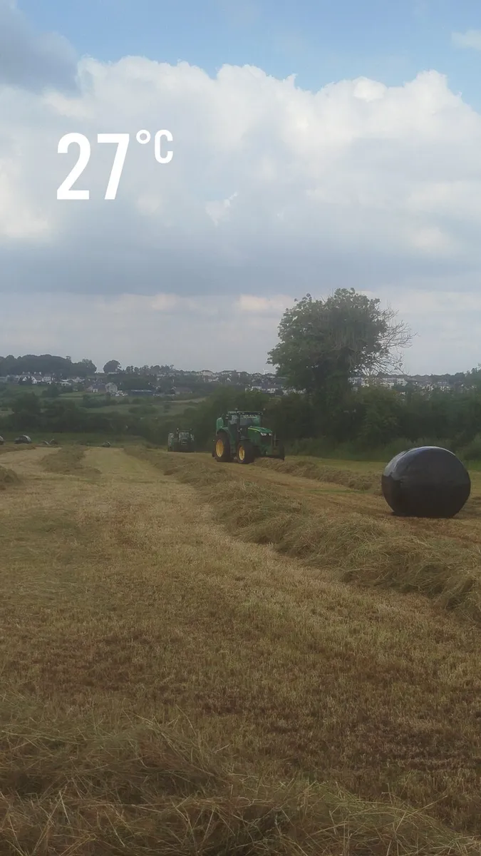 Silage Bales - Image 4