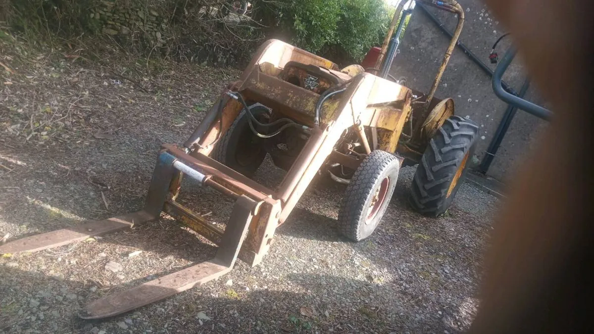 Digger massey 35/ david brown 990 - Image 2