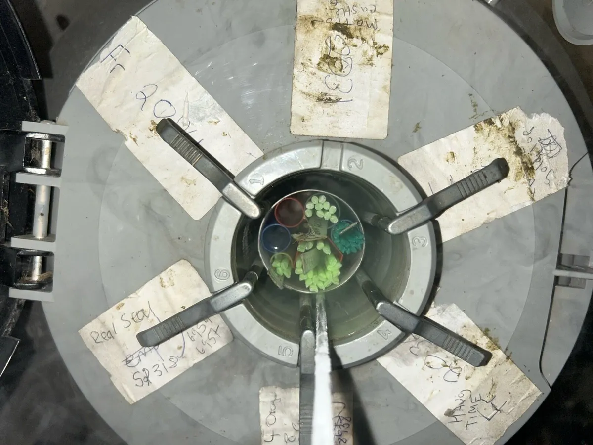 Cheap AI straws - Image 1