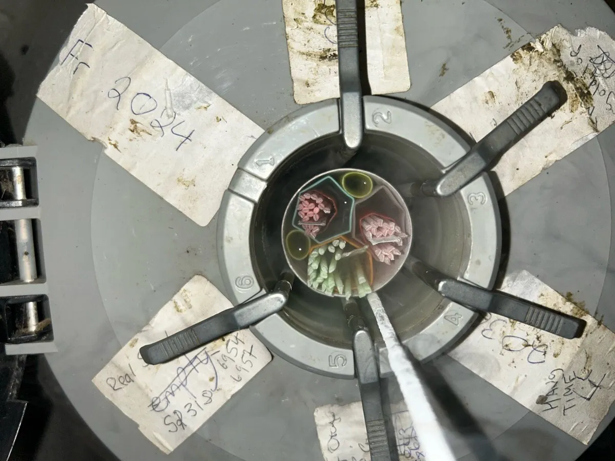 Cheap AI straws - Image 2