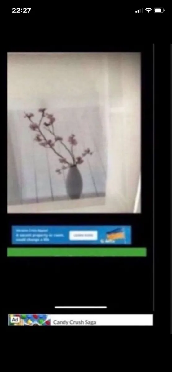 Framed Floral Prints - Image 4