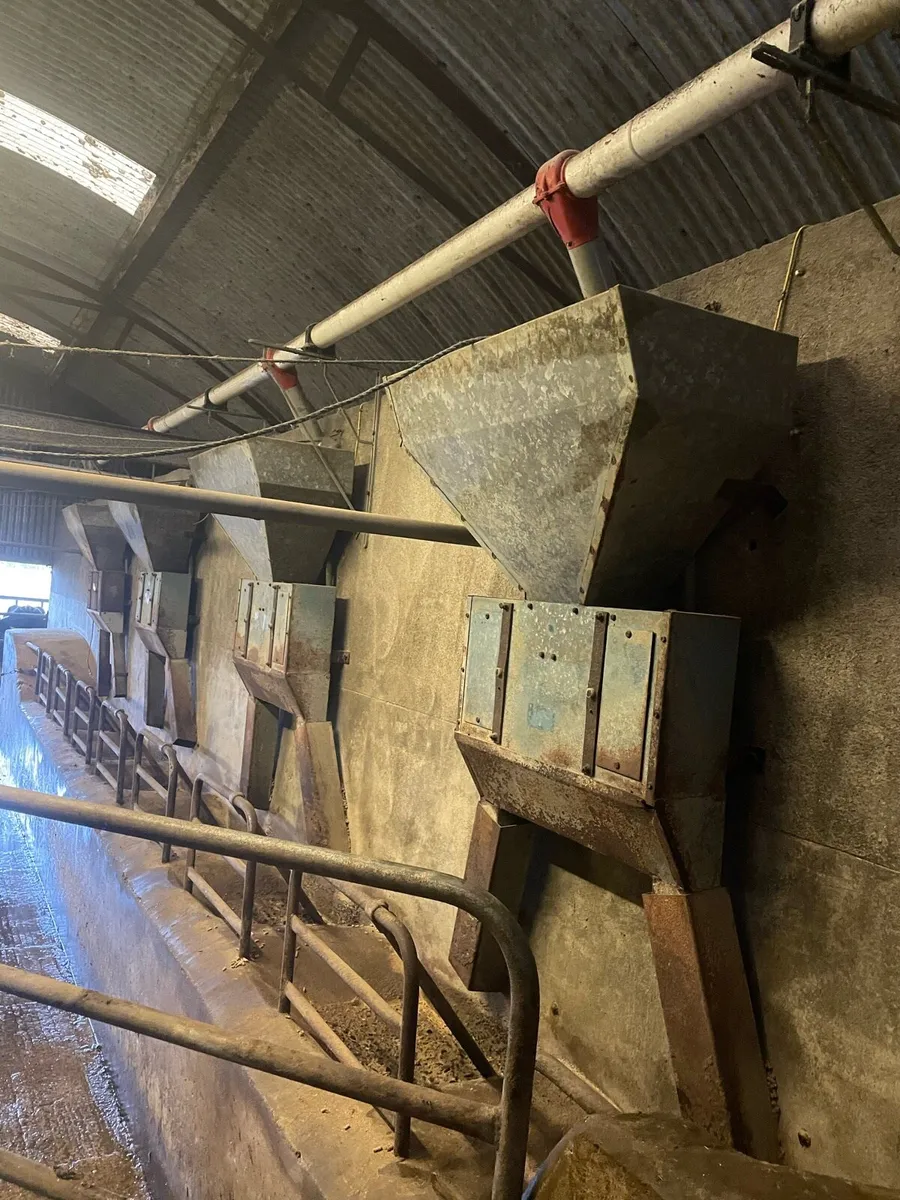 8 unit full parlour - Image 4