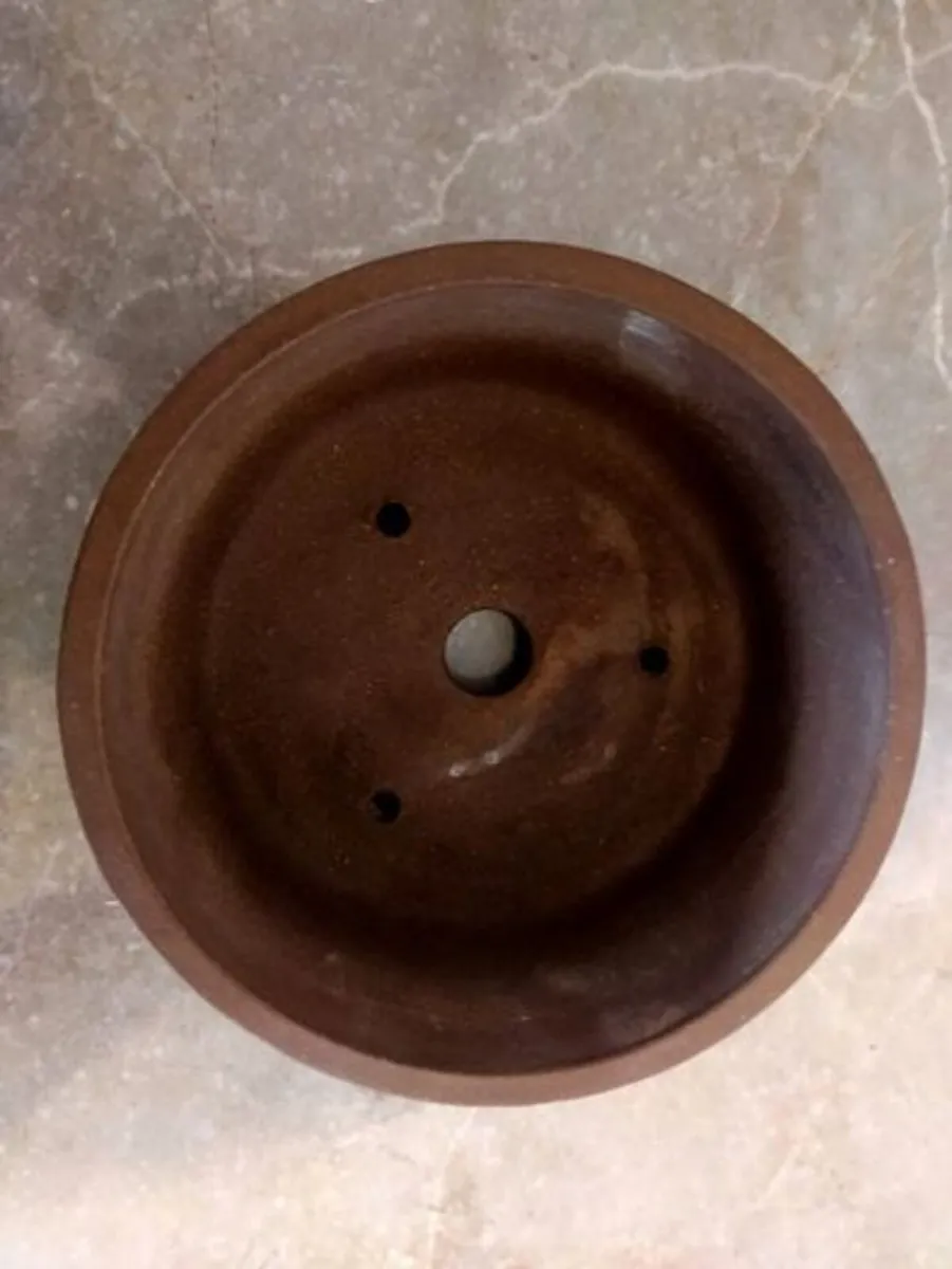 Small Bonsai Pot #15 - Image 2