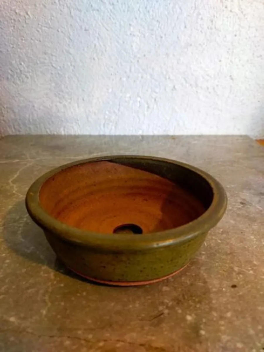 Small Bonsai Pot #13 - Image 1
