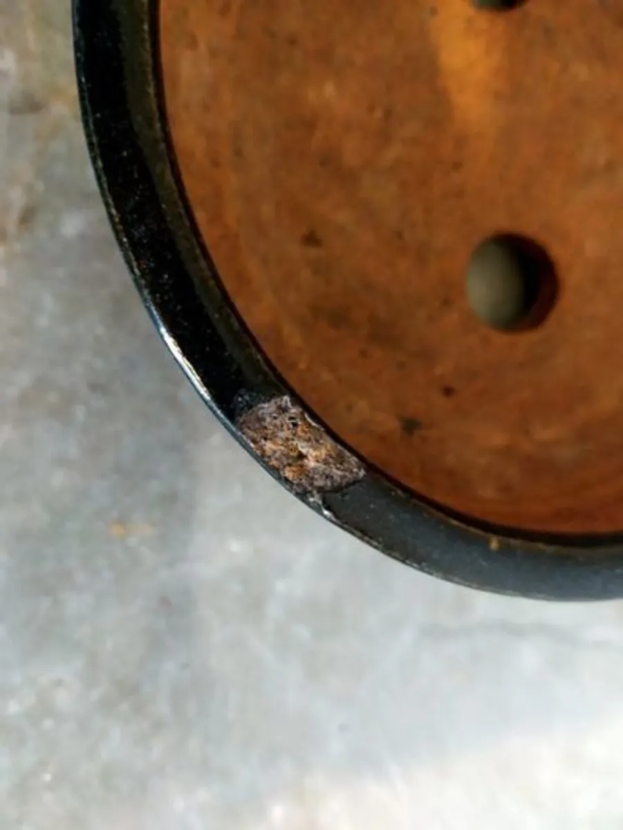 Small Bonsai Pot #12 - Image 2