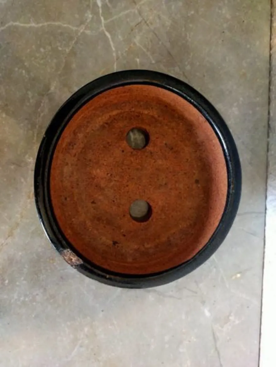 Small Bonsai Pot #12 - Image 3