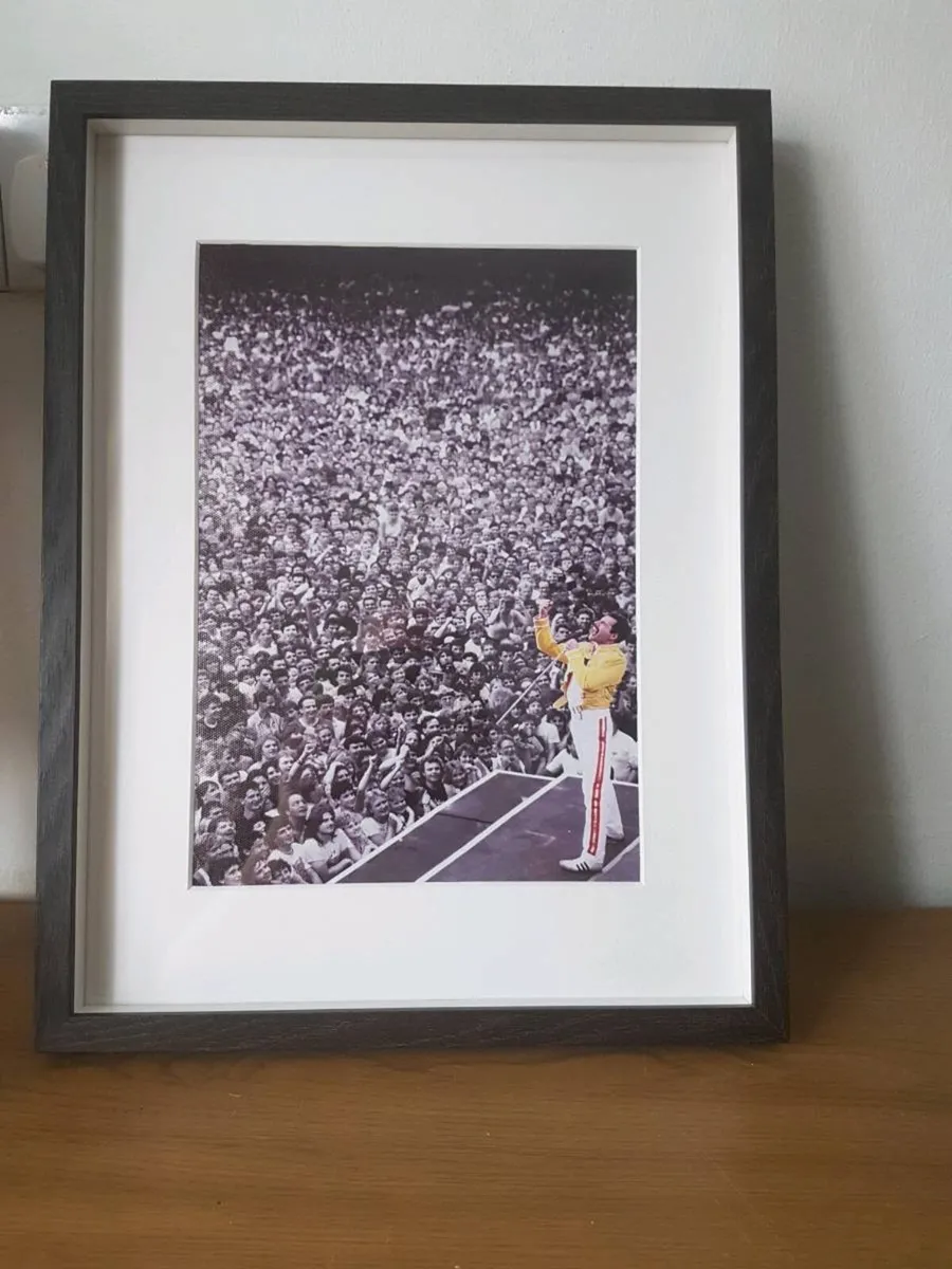 Freddie Mercury Large Framed Print 43 x 33
