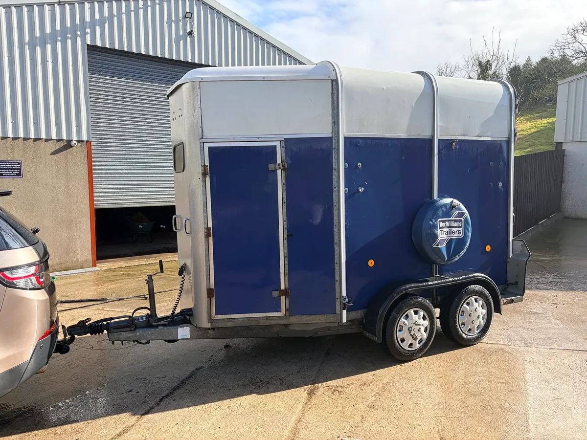 Ifor Williams HB 505 horse trailer - Image 1
