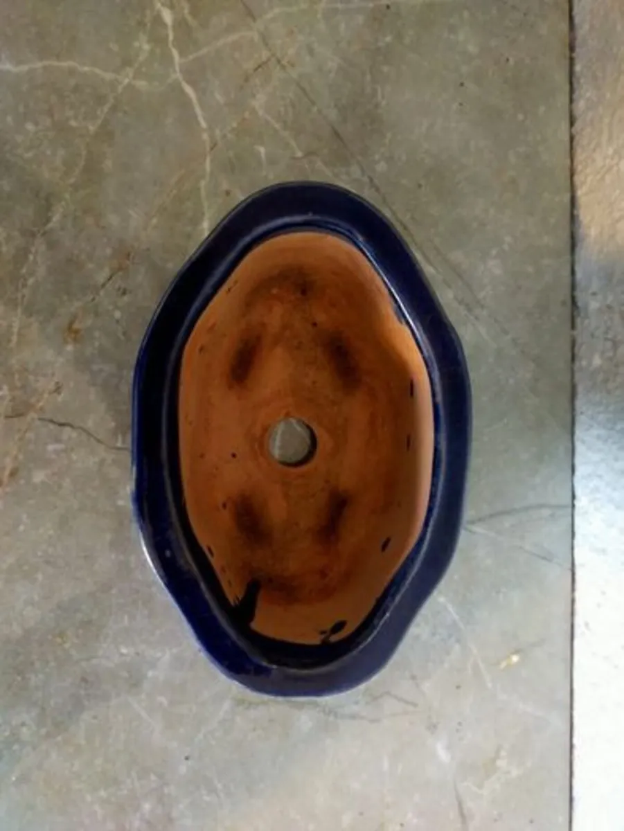 Small Bonsai Pot #11 - Image 2