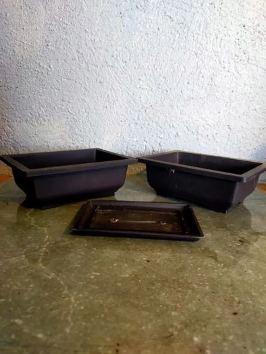 Small Bonsai Pot #10