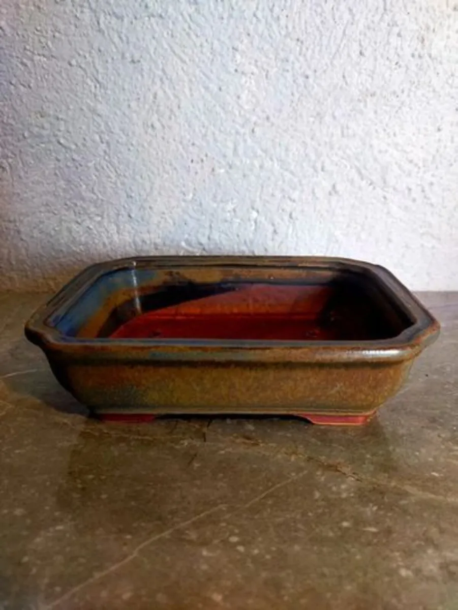 Small Bonsai Pot #8 - Image 1